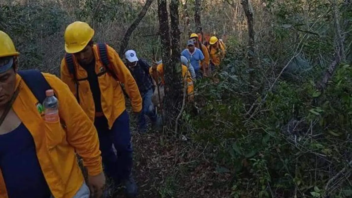 incendio forestal